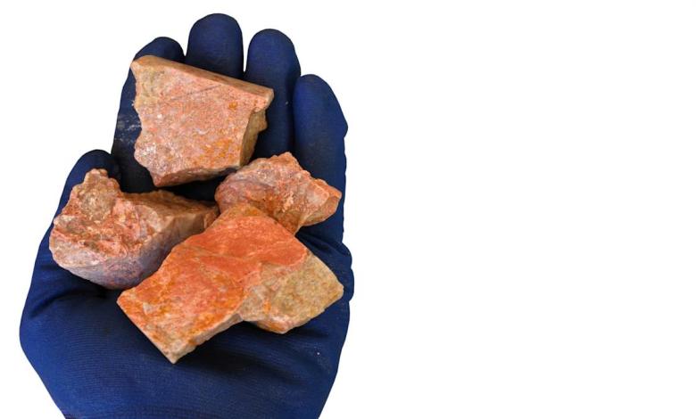 Viridi receives NOD to move forward through a combined support program for Brazil’s Reefi project Viridi receives NOD to move forward through a combined support program for Brazil’s Reefi project