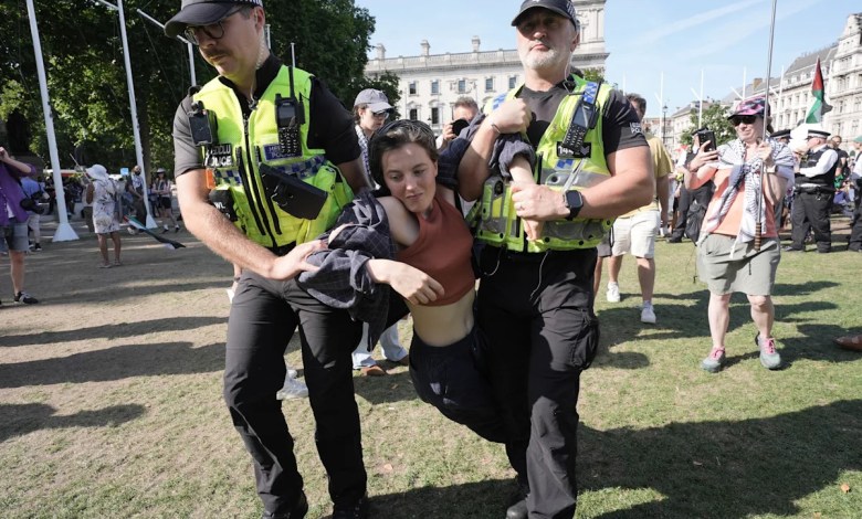 Hundreds were arrested on illegal protest against limitation Hundreds were arrested on illegal protest against limitation