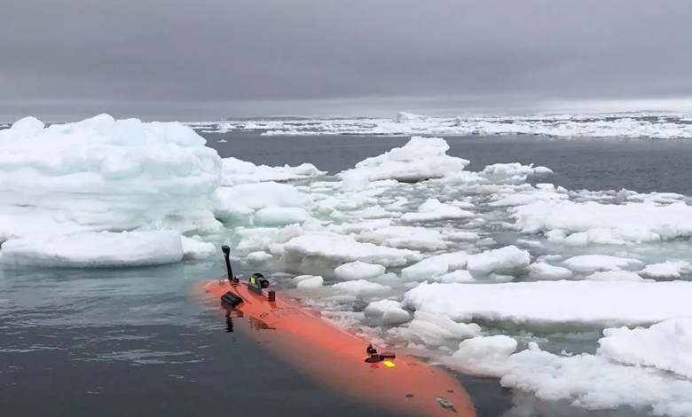 Privacy spaces invisible. Then, he disappeared under the Antarctic water. Privacy spaces invisible. Then, he disappeared under the Antarctic water.