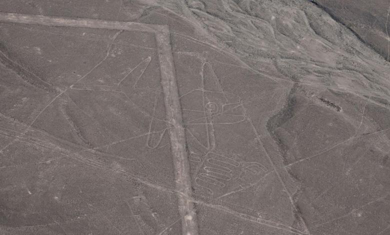 Peru back to the full protection of Nazca Lines Reserve after opposing cuts Peru back to the full protection of Nazca Lines Reserve after opposing cuts