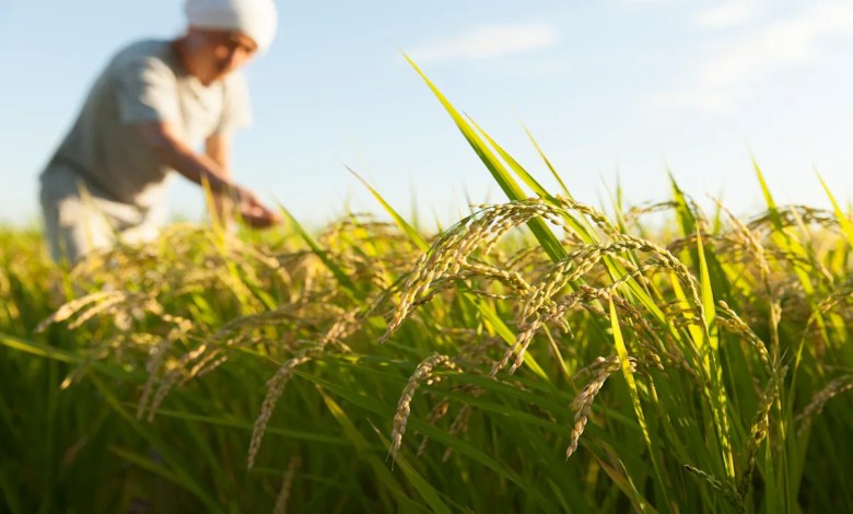 Experts issuing a warning as basic foods are not removed: ‘It is possible’ Experts issuing a warning as basic foods are not removed: ‘It is possible’