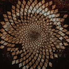 The Collective