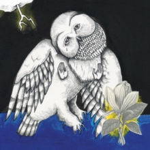 The Magnolia Electric Co (10th Anniversary Deluxe Edition)