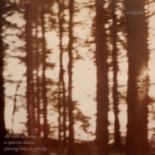 The Wind Is Strong…