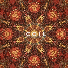 Stolen & Contaminated Songs