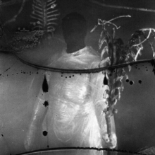 Preservation Rituals (2015 – 2018)