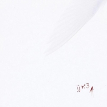 jj n° 3