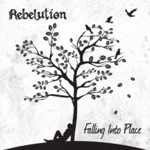 Falling Into Place