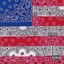 All-AMerikkkan Bada$$