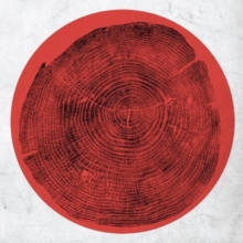 Q: Transient Global Amnesia