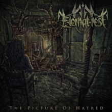The Picture Of Hatred
