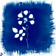 Floriography + Daylily EP