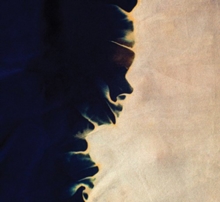 I Line My Days Along Your Weight