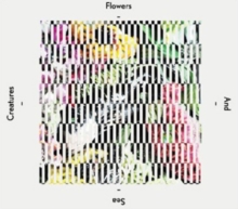 Flowers And Sea Creatures