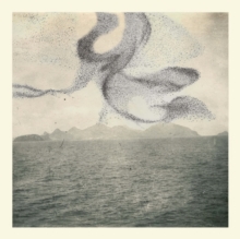 A Small Murmuration