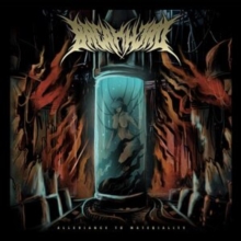 Allegiance To Materiality