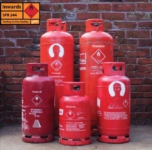 Feeling So Fun Reality