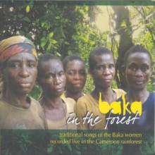 Baka In The Forest