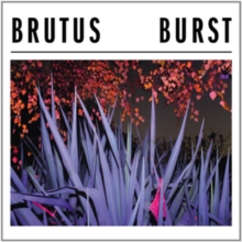 Burst