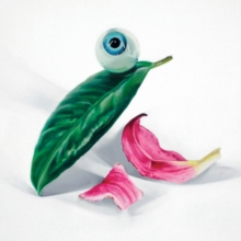 Petals Have Fallen