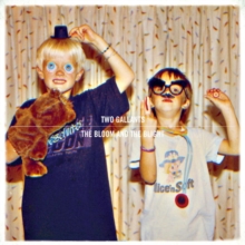 The Bloom And The Blight