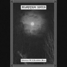 Reflections Of A Frostbitten Moon