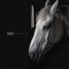 Until We Shine Again