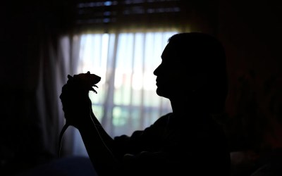 Unwanted lab rats find new homes and are adopted thanks to an Argentine organization Unwanted lab rats find new homes and are adopted thanks to an Argentine organization