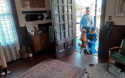 Heartwarming video shows Artemis II astronaut Christina Koch reuniting with her dog Heartwarming video shows Artemis II astronaut Christina Koch reuniting with her dog