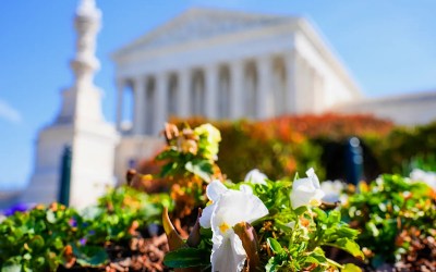 Is spring really — finally — here? Is spring really — finally — here?