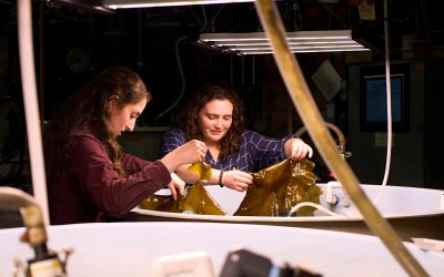 Planes and ships could run on kelp someday, but there are serious hurdles Planes and ships could run on kelp someday, but there are serious hurdles