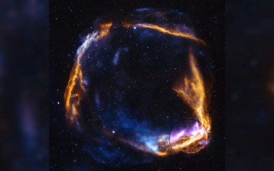 New portrait of the oldest-known supernova | Space photo of the day for March 27, 2026 New portrait of the oldest-known supernova | Space photo of the day for March 27, 2026