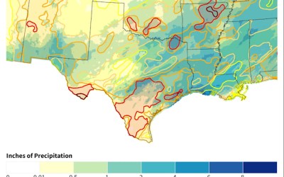Sixth year of drought in Texas and Oklahoma leaves ranchers facing wildfires and bracing for another tough year Sixth year of drought in Texas and Oklahoma leaves ranchers facing wildfires and bracing for another tough year