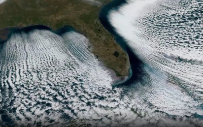 'Cloud streets' stream from the Florida coast | Space photo of the day for Feb. 12, 2026 'Cloud streets' stream from the Florida coast | Space photo of the day for Feb. 12, 2026