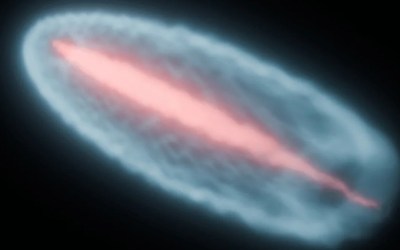 Scientists recreate 'cosmic fireballs' in CERN particle accelerator to hunt for missing gamma-rays Scientists recreate 'cosmic fireballs' in CERN particle accelerator to hunt for missing gamma-rays