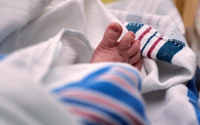 US births dropped last year, suggesting the 2024 uptick was short-lived US births dropped last year, suggesting the 2024 uptick was short-lived