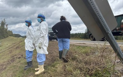 Last monkey on the loose after Mississippi highway crash is captured after being spotted by resident Last monkey on the loose after Mississippi highway crash is captured after being spotted by resident
