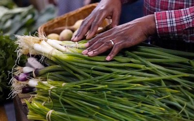 How you store produce can make it last longer How you store produce can make it last longer