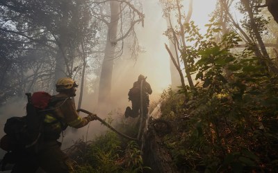 Study finds climate change set the stage for devastating wildfires in Argentina and Chile Study finds climate change set the stage for devastating wildfires in Argentina and Chile