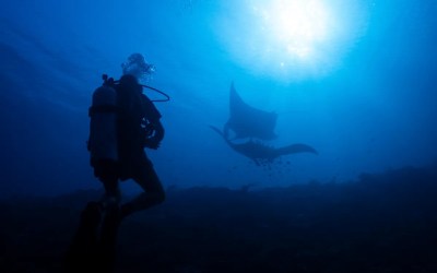 Ocean protections clash with mining pressure in Indonesia's most diverse marine ecosystem Ocean protections clash with mining pressure in Indonesia's most diverse marine ecosystem