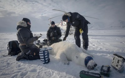 Scientists Scientists