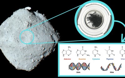 Ryugu asteroid sample contains all five key components of DNA, scientists find Ryugu asteroid sample contains all five key components of DNA, scientists find