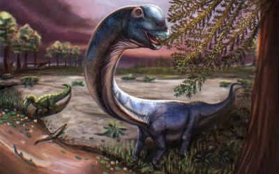 New dinosaur weighing as much as 9 elephants identified by scientists New dinosaur weighing as much as 9 elephants identified by scientists