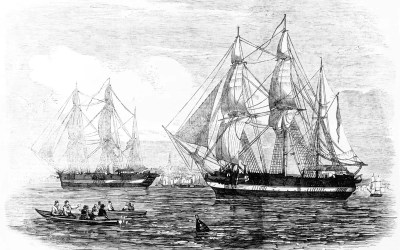 Sailors from doomed 1845 polar expedition identified through DNA Sailors from doomed 1845 polar expedition identified through DNA