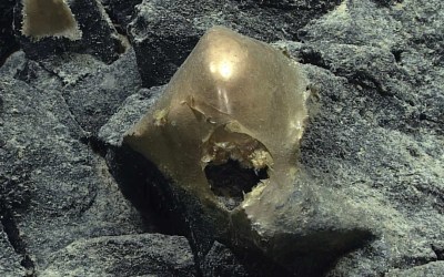 Mysterious golden orb discovered on the ocean floor near Alaska is identified over 2 years later Mysterious golden orb discovered on the ocean floor near Alaska is identified over 2 years later