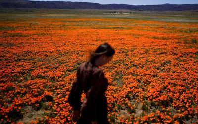 Welcome to allergy season. Here's how to protect yourself Welcome to allergy season. Here's how to protect yourself