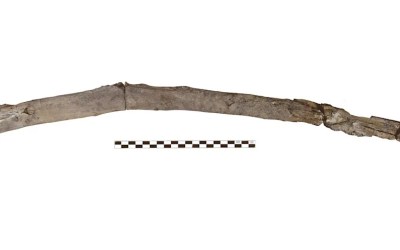 Scientists recover the oldest wooden tools from a site in Greece Scientists recover the oldest wooden tools from a site in Greece