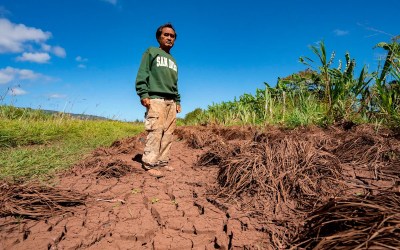Hawaii’s worst flooding in 20 years leaves farmers struggling and fewer veggies at the market Hawaii’s worst flooding in 20 years leaves farmers struggling and fewer veggies at the market