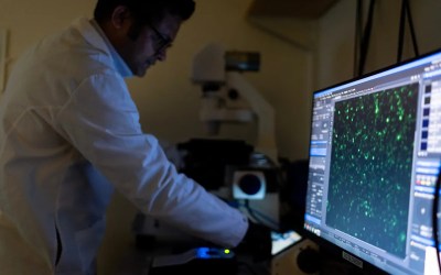 There are more than 100 autoimmune diseases, and they mostly strike women. Here's what to know There are more than 100 autoimmune diseases, and they mostly strike women. Here's what to know