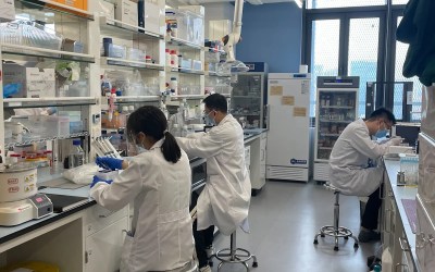Why Trump’s cuts to scientific research are a big win for China Why Trump’s cuts to scientific research are a big win for China